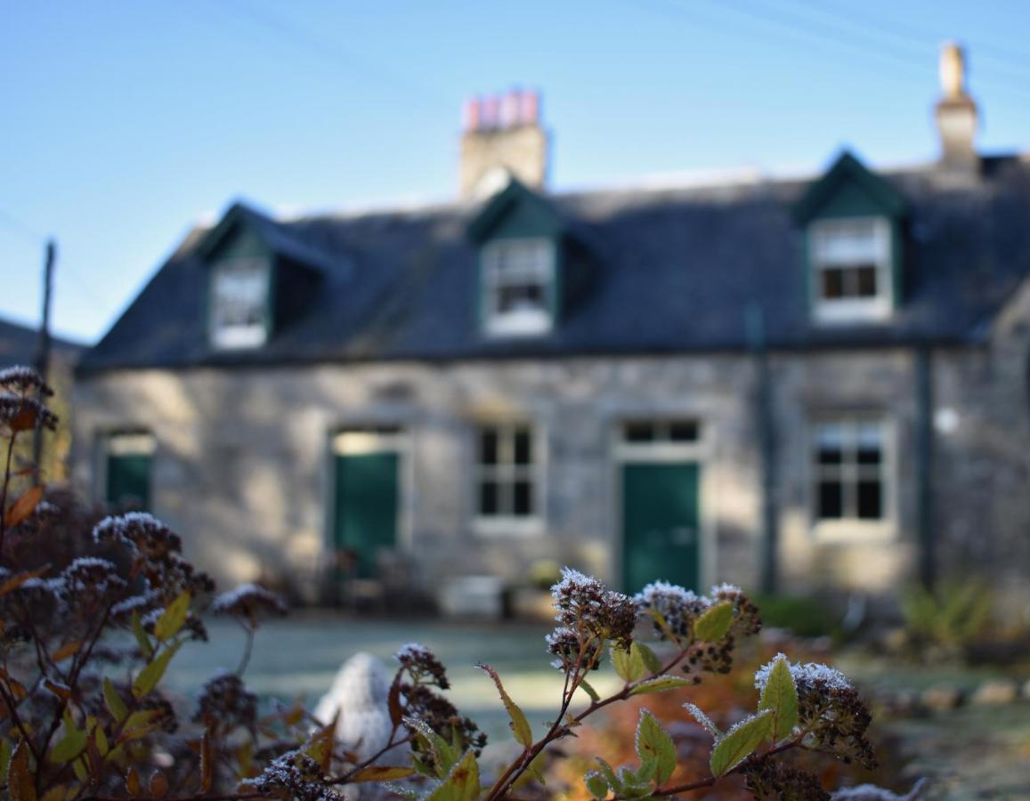 Stable Cottage, Crannachcottages Garve Extérieur photo